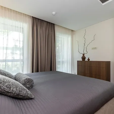 Apartment Vytauto 134 *