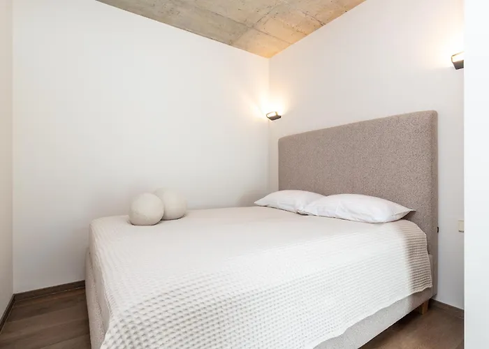 Vytauto 134 パランガ